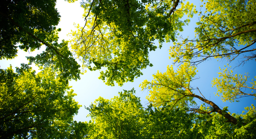 Targeted amendments to IFRS S2