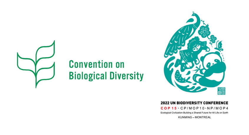 ISSB at COP15
