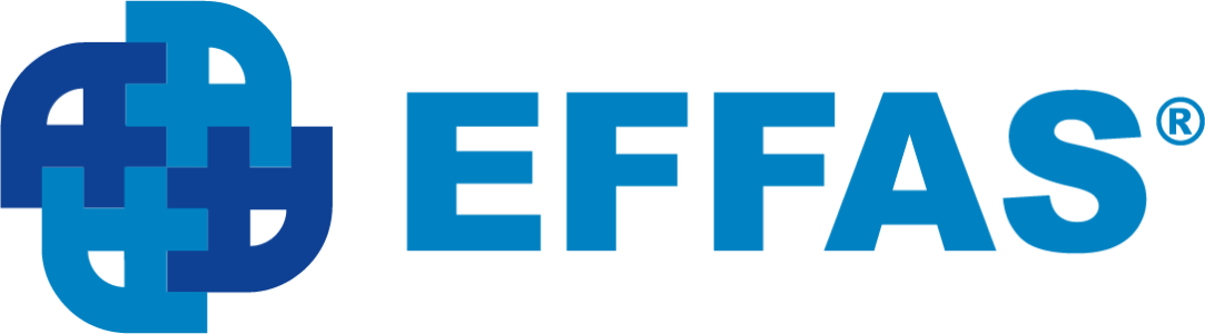  European Federation of Financial Analysts Societies